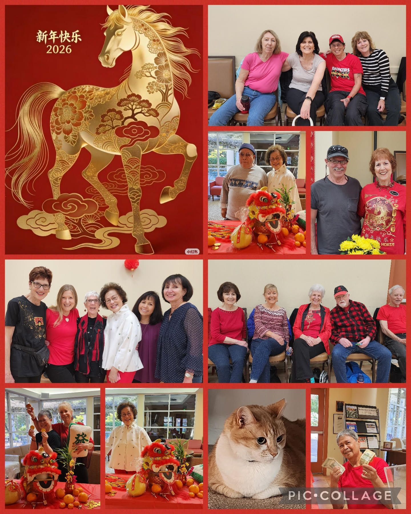 Sorry! Image not available at this time