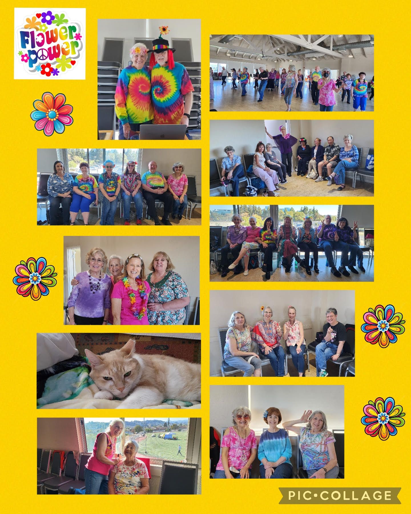 Sorry! Image not available at this time